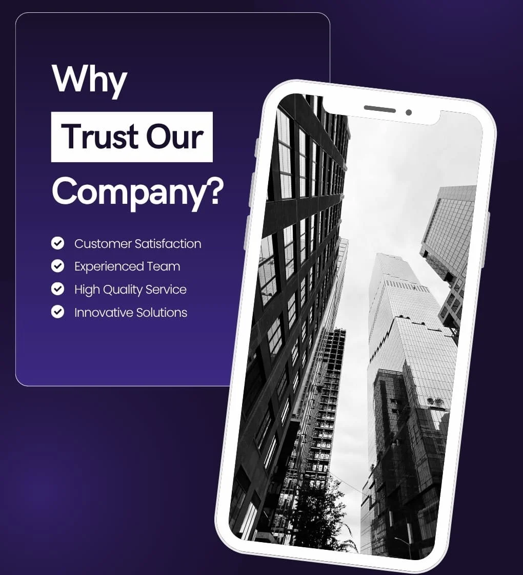 Professional IT service team